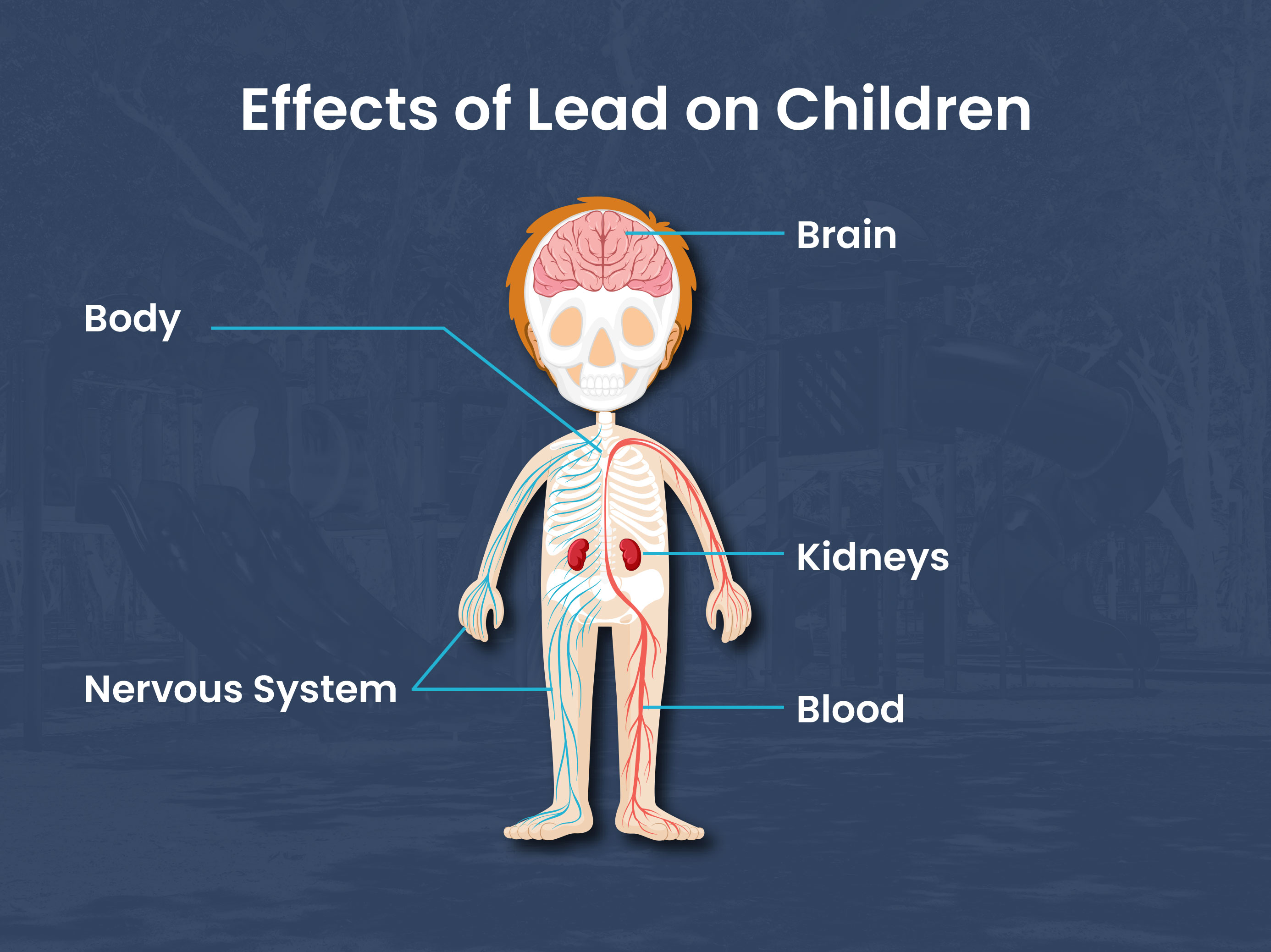 diagram of body parts effected by led in a child