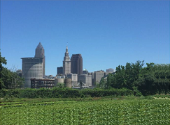 Cleveland Skyline from Ohio City Farm, 2018