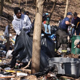 people cleaning up wooded area