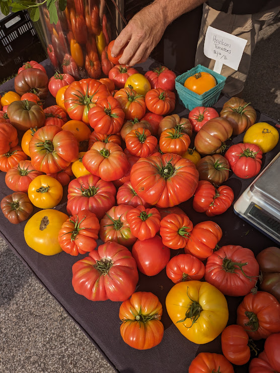 Tomatoes at the farmer's market