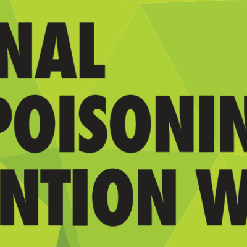 lead prevention banner