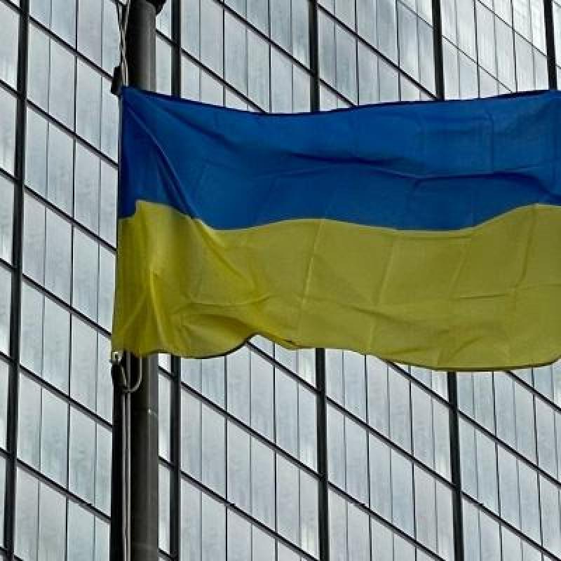 Ukrainian flag