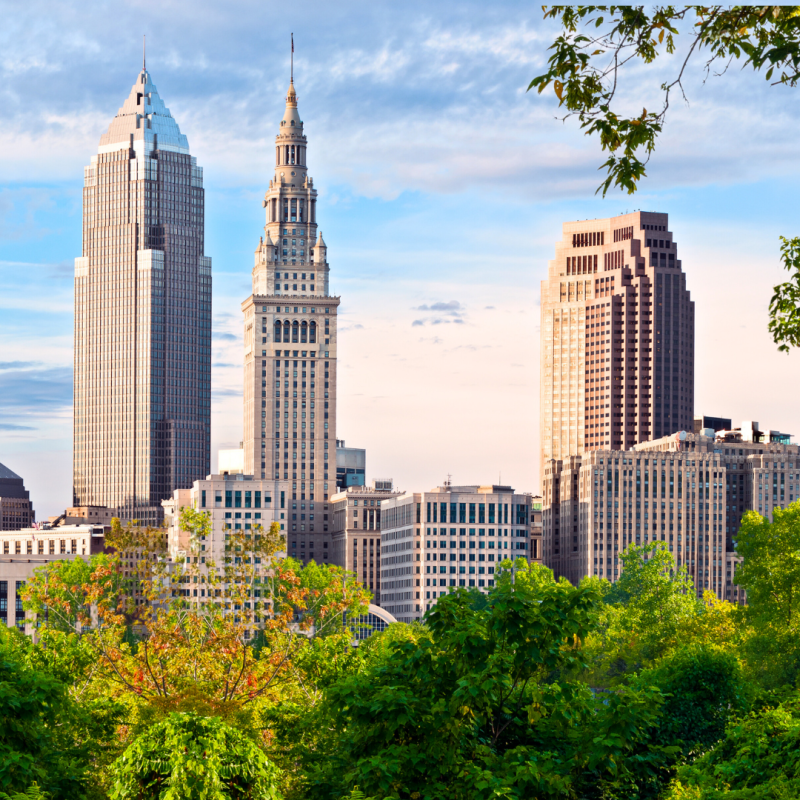 Updated webpage image