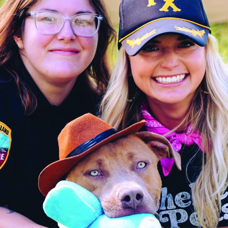City Dogs Miranda Lambert
