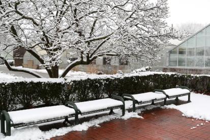 photo of a park bench covered with snow