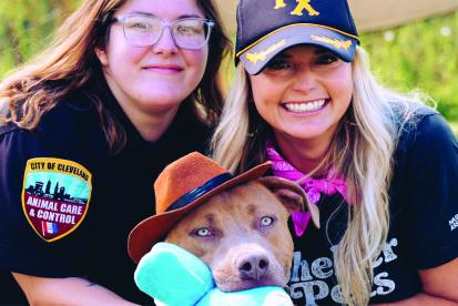 City Dogs Miranda Lambert