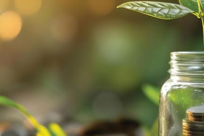 two saplings growing from coins in jars