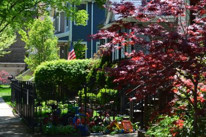 row of houses on a nice street in spring with trees in bloom