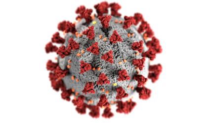 Image of the SARS-CoV-2 virus
