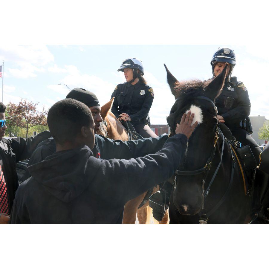 Junior Mayor's petting police horses