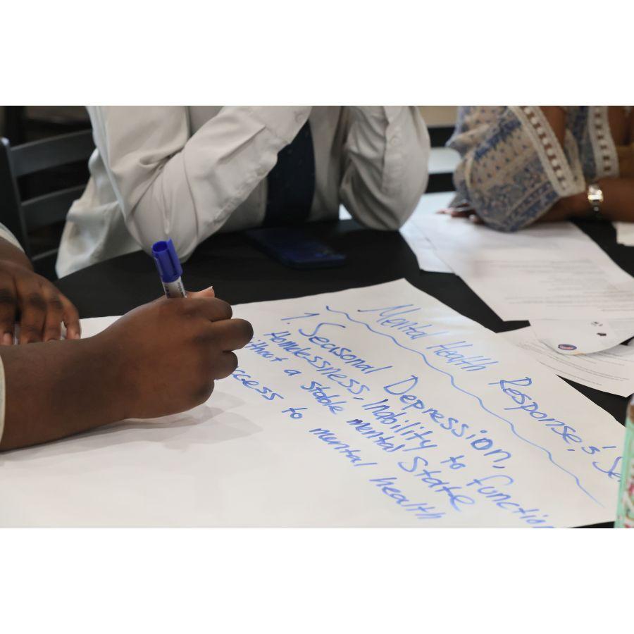Junior Mayors working on public health proposal