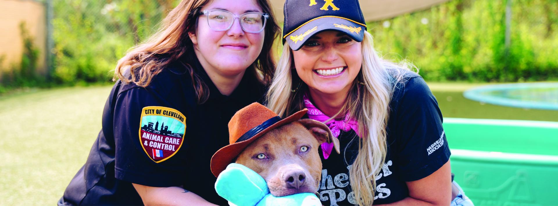 City Dogs Miranda Lambert