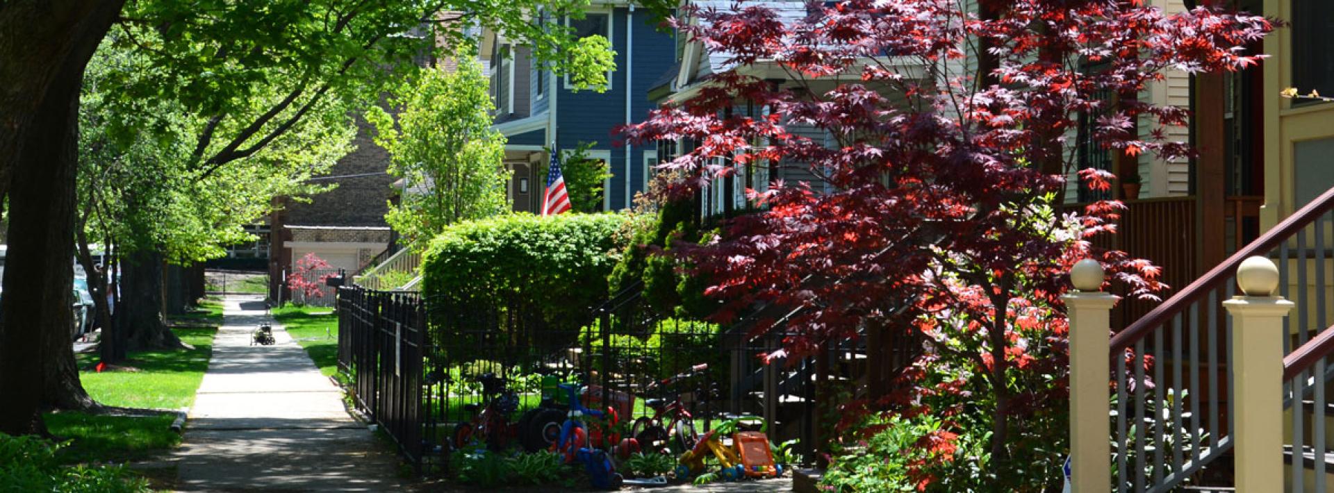 row of houses on a nice street in spring with trees in bloom