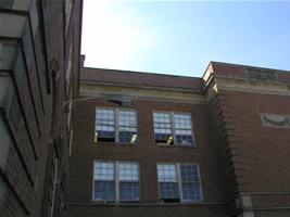 Louis Agassiz School windows 3