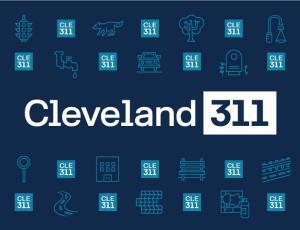 311 logo