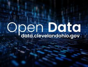 open data logo
