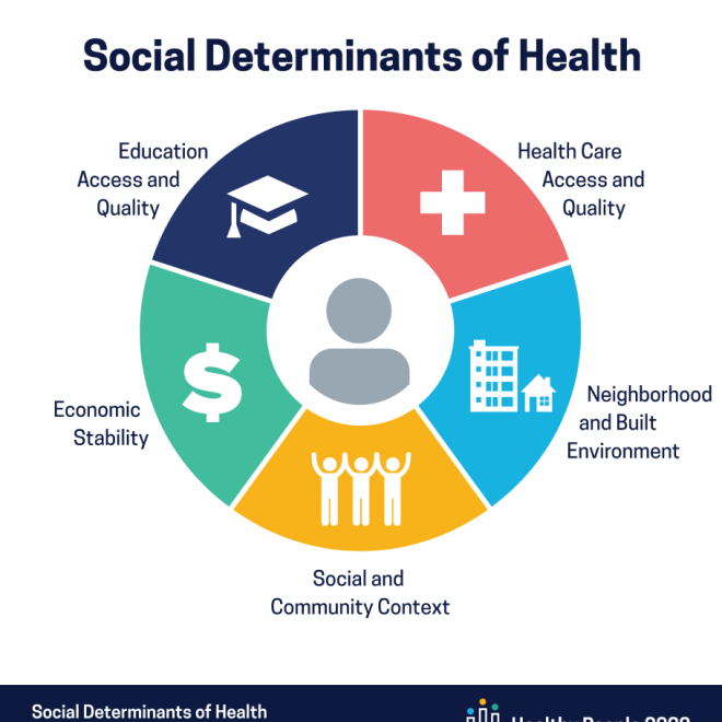 Social Determinants of Health Chart