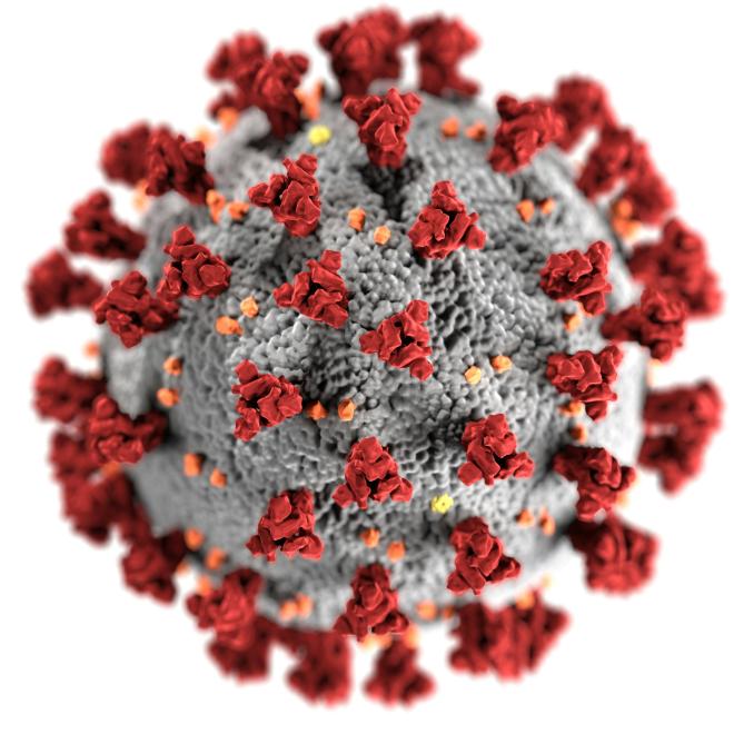 Image of the SARS-CoV-2 virus